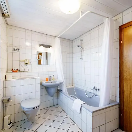 Ruedesheimer Hof Otel