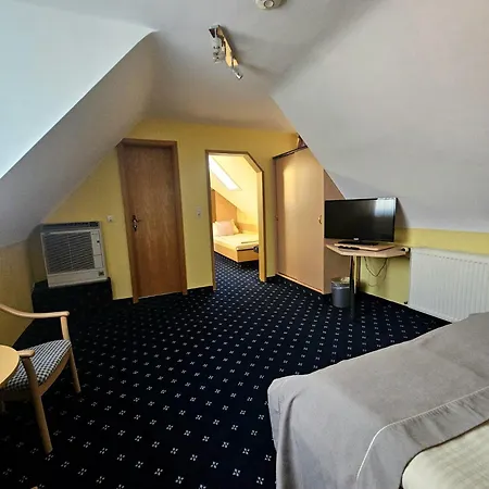 Hotel Rüdesheimer Hof - Superior 3*