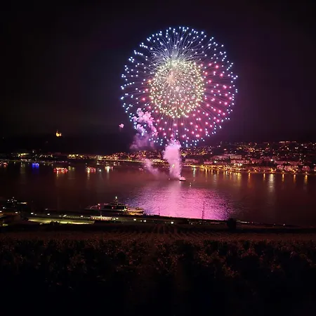 Otel Ruedesheimer Hof 3*