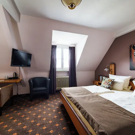 Hotel Ruedesheimer Hof 3*