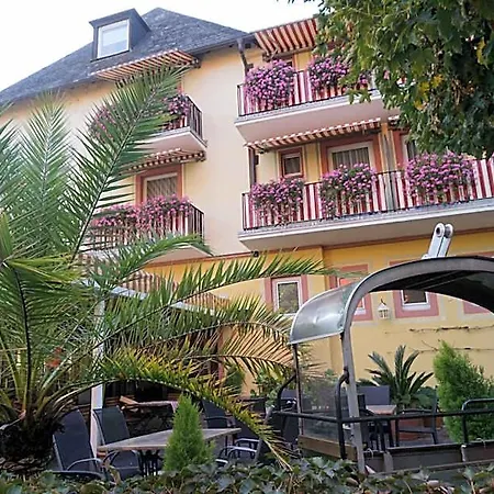 Ruedesheimer Hof فندق 3*