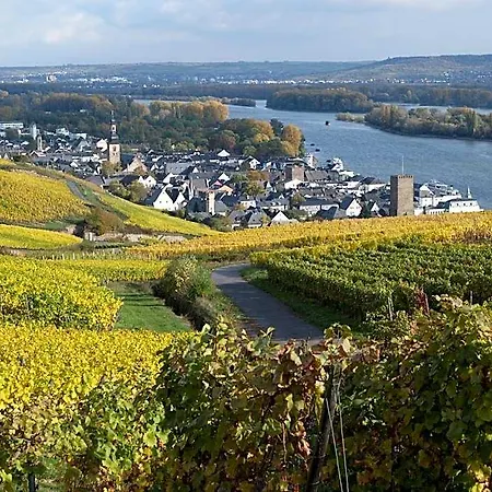 Ruedesheimer Hof 3* روديسهايم ام رين