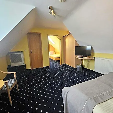 Ruedesheimer Hof فندق 3*