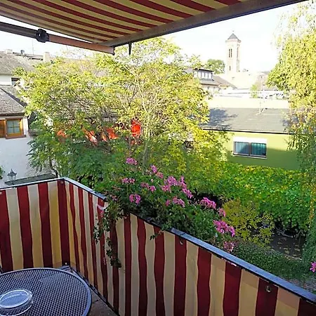 Ruedesheimer Hof فندق روديسهايم ام رين