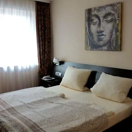 Hotel Ruedesheimer Hof 3*