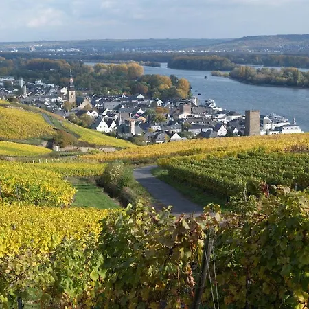 Ruedesheimer Hof Otel Rüdesheim am Rhein