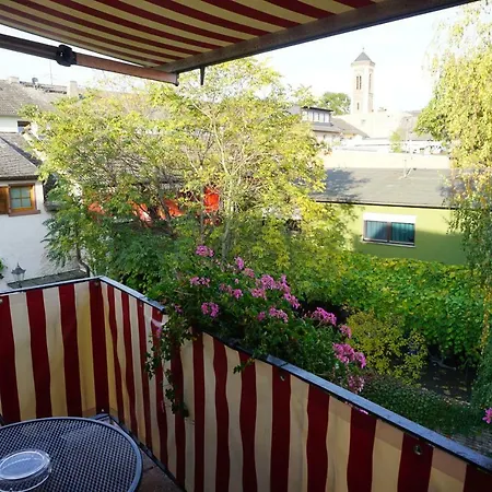 Отель Ruedesheimer Hof 3*